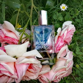 La Ronde des Fleurs - Rose de Grasse - Jeanne Arthes