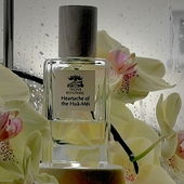 Herzschmerz... Die Tränen der Hua-Mei. Ganz herzlichen Dank ihr Lieben 🤗🥰 (von Gandix)