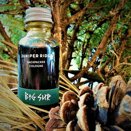 An den Hängen von Big Sur