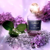 Die Flieder Zeit muss trotz schlechtem Wetter festgehalten werden 😉Ganz herzlichen Dank euch allen🤗 (by Gandix)