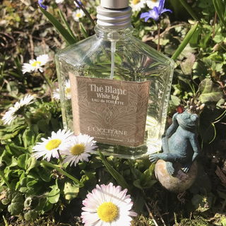 Thé Blanc / White Tea von L'Occitane en Provence