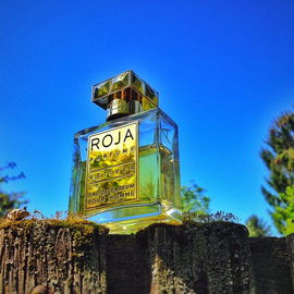 Vetiver (Eau de Parfum) - Roja Parfums