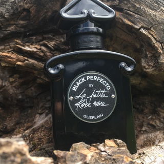 Black Perfecto by La Petite Robe Noire (Eau de Parfum Florale) von Guerlain