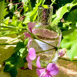 Parco Palladiano XIV: Melagrana - Bottega Veneta