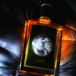 Camel von Zoologist