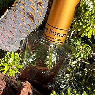 True Forest - Pure Presence