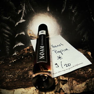 Ins dunkle Herz des Dschungels