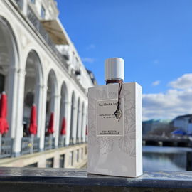 1881 pour Femme (1995) (Eau de Toilette) - Cerruti