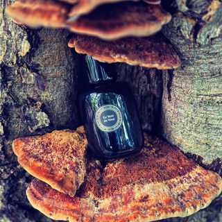 Ein Bild von meinem Signatur 🥰