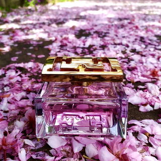 Especially Escada - Escada