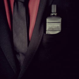 Gentleman Givenchy (Eau de Parfum) - Givenchy