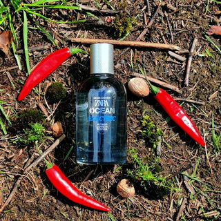 Ocean Electric by Zara