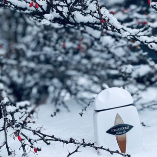 Poudre de Riz by Pierre Guillaume