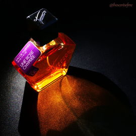 № 08 - Une Rose Chyprée - Tauer Perfumes