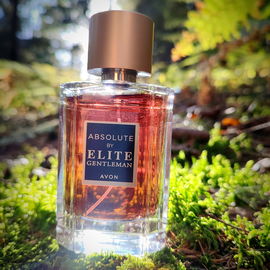 Absolute by Elite Gentleman - Avon