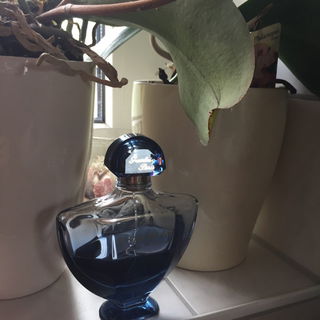 Shalimar Souffle de Parfum von Guerlain