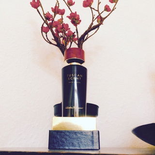 White Mimosa von Salvatore Ferragamo