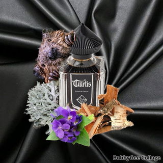 Cuirtis by Areej Le Doré