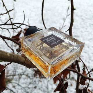 L'Instant de Guerlain pour Homme (Eau de Parfum) by Guerlain