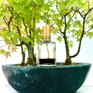 True Forest - Pure Presence