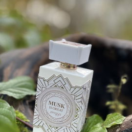 Musk is Great - Zimaya