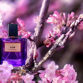 ……. Duft in Rosatönen …. ;) 🌸🌸🌸 …… (by IrisNobile)