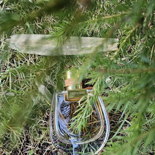 Nomade Absolu de Parfum von Chloé