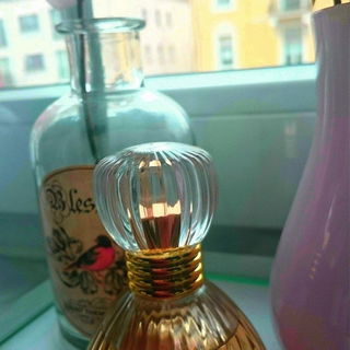 Loving Lantana - Judith Williams