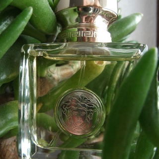 Versace pour Femme - Versace