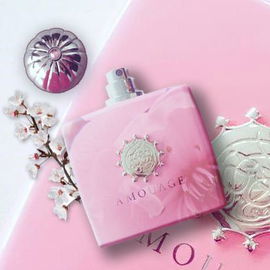 Blossom Love