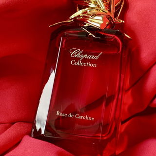 Rose de Caroline - Chopard