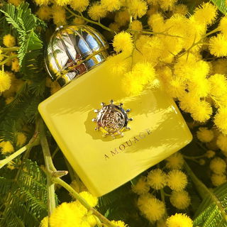Love Mimosa von Amouage