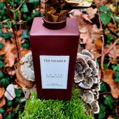 Hunderunde Teil 2..heute morgen..😉 freut mich wenns euch gefällt.. (von Scena2010)