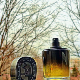 34 Boulevard Saint Germain (Eau de Parfum) - Diptyque