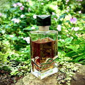 …📷🌍 Thank you. Danke schön. Merci beaucoup. Muchas gracias. Dōmo arigatō gozaimasu 💐… (by Kokusai)