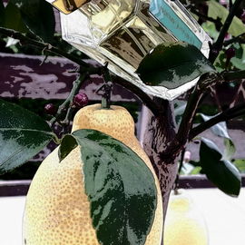 L'Eau du Caporal by L'Artisan Parfumeur