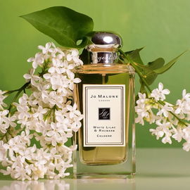 Bamboo Harmony - Kilian