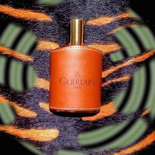 Vetiver (Eau de Toilette) von Guerlain