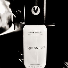 Liquidnight - What We Do Is Secret / A Lab on Fire