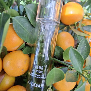 Fleur de Vigne by Caudalie