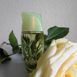 Nature (Eau de Toilette) von Yves Rocher