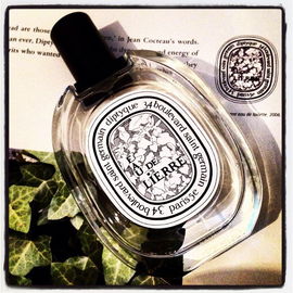 Eau de Lierre - Diptyque