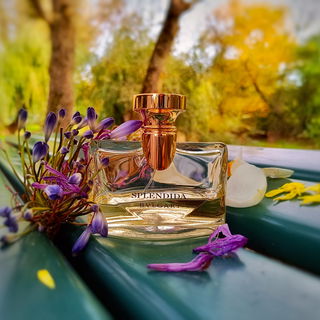 Splendida - Iris d'Or - Bvlgari