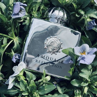 Elixir des Merveilles - Hermès