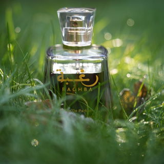 Scandal pour Homme Absolu - Jean Paul Gaultier