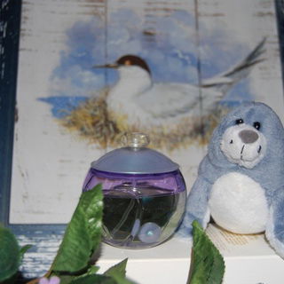 Noa Perle - Cacharel