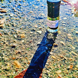 Plantagen - Dschungel - Strassen - Maroke - See - Suppe [Trat Oud] Vielen Dank allen. 🧜‍♀️