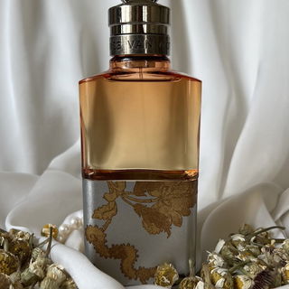 Camomille Satin - Dries Van Noten