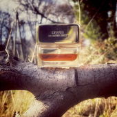 *idyllische Naturaufnahme oder trügt der Schein?* ich danke euch für die lieben Worte (von Knopfnase)