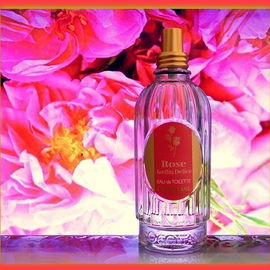 Rose Jardin Délice - L'Occitane en Provence